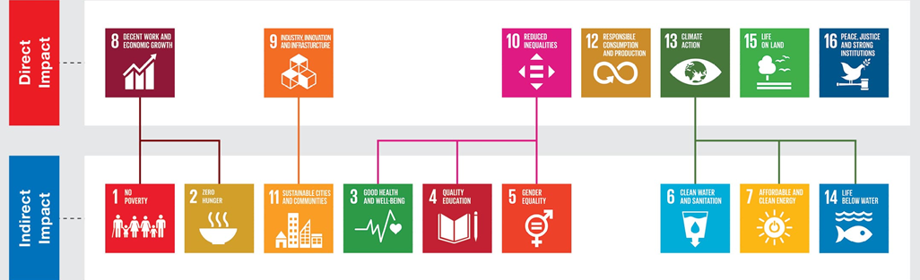 Sustainable Development Goals